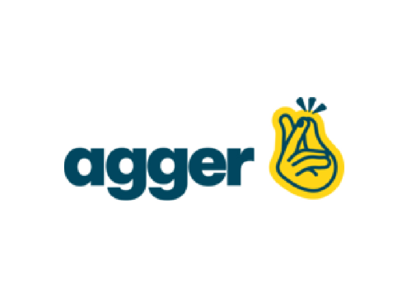 logo agger parceiro the digital fox 01a