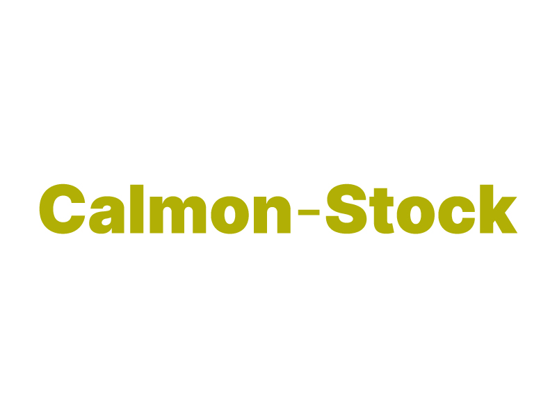 logo calmon stock parceiro the digital fox 01a