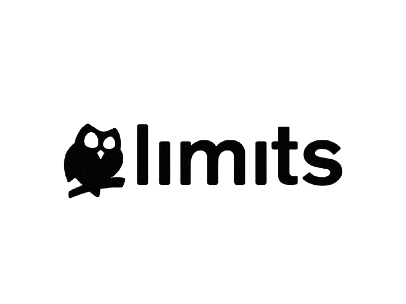 logo limits parceiro the digital fox 01a