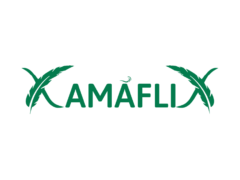 logo xamaflix parceiro the digital fox 01a